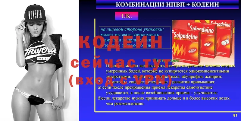 Кодеин напиток Lean (лин)  блэк спрут как зайти  Лермонтов  магазин продажи  